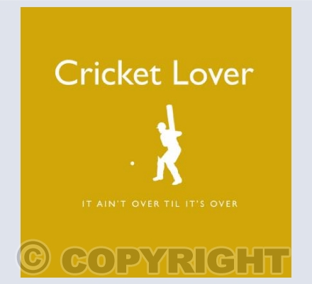 Cricket Lover