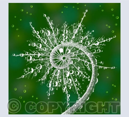 To Capture the Morning Dew (in Green)