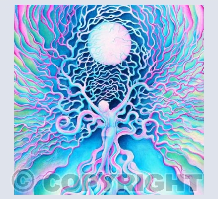 Cosmic Connection