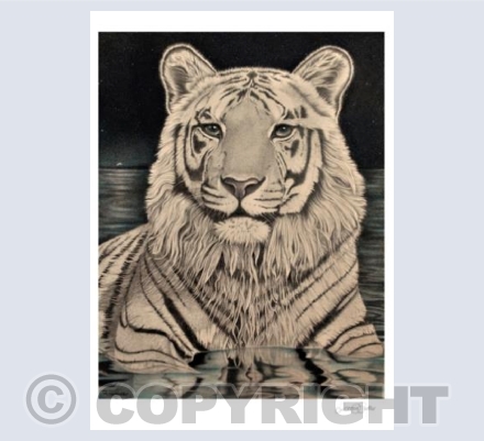 White Tiger of the Western Skies