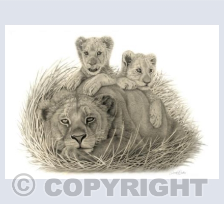 Mother's Pride