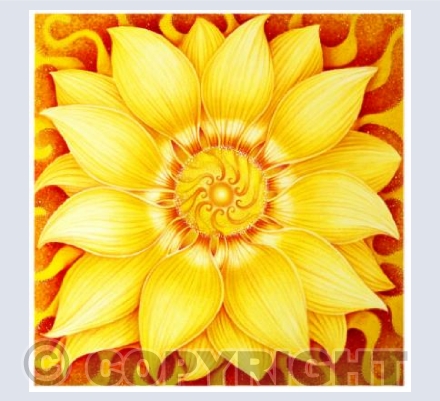 Solar Plexus Chakra