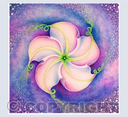 Mystic Moonflower
