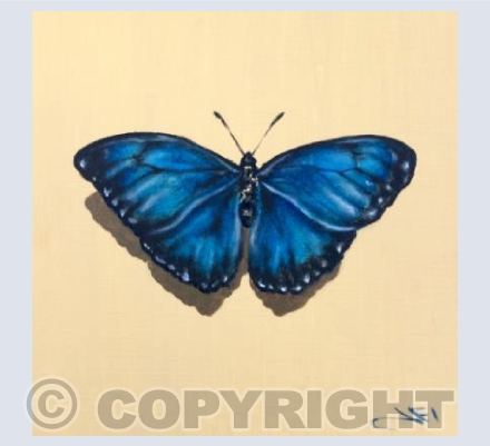 Blue butterfly 