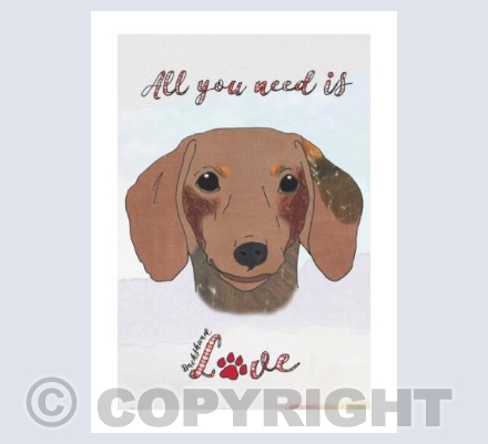 Daschund love
