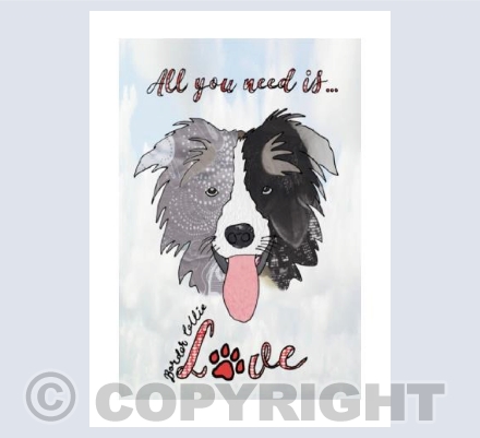 Border Collie love