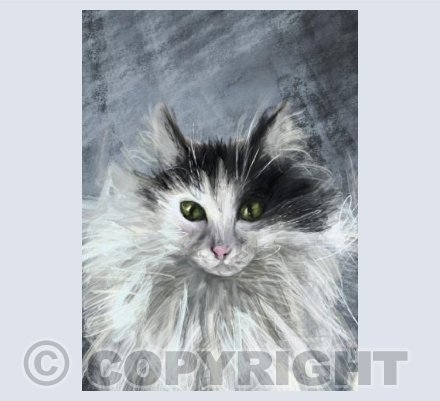 Cat card