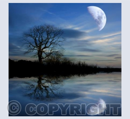 Upon reflection card