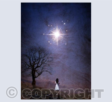 Wish upon a star card