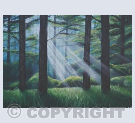 Forest light card