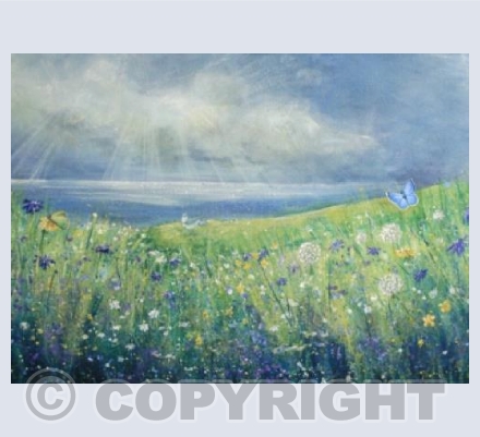 Durlston Meadow