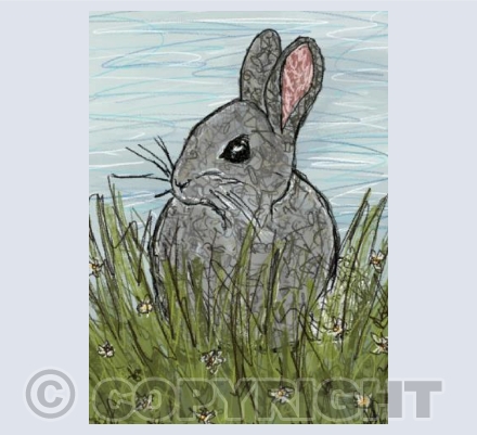 Bunny in the meadow
