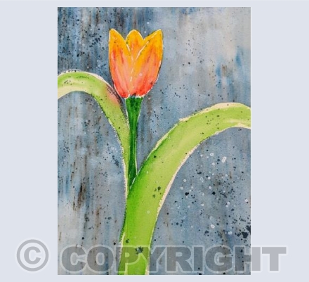 Tulip Ice Cream 