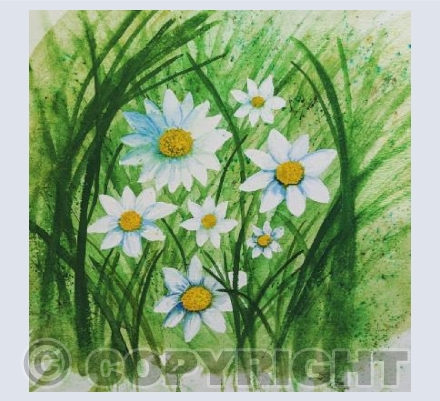 Daisy 