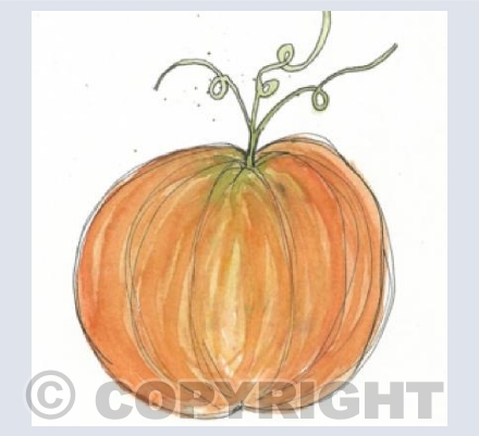 Pumpkin 