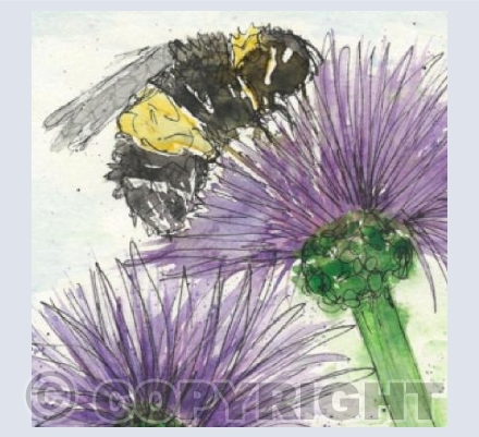 Bee-Happy