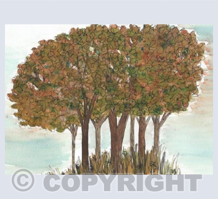 Autumn Trees