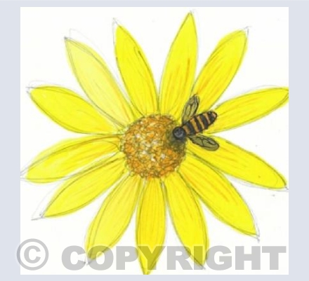 Little Bee