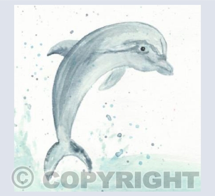 Dolphin #1