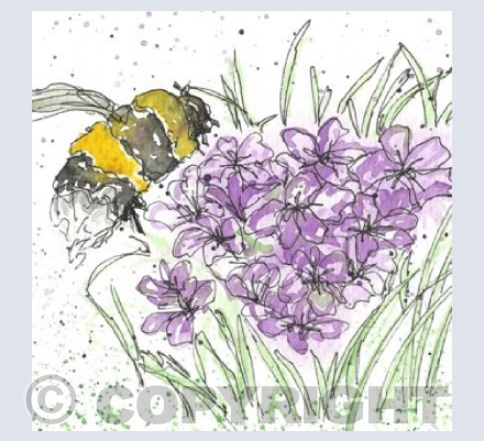 Little Bee 2 