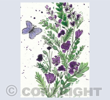 Butterfly and Flowers