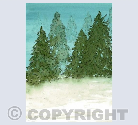 Winter Trees 