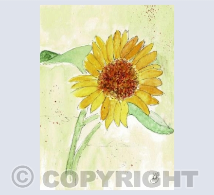 The first sunflower