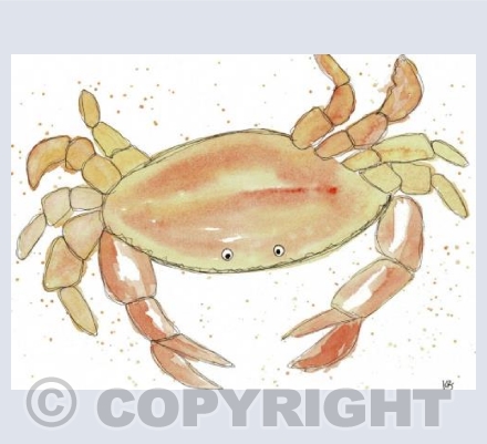 Mr Crab 