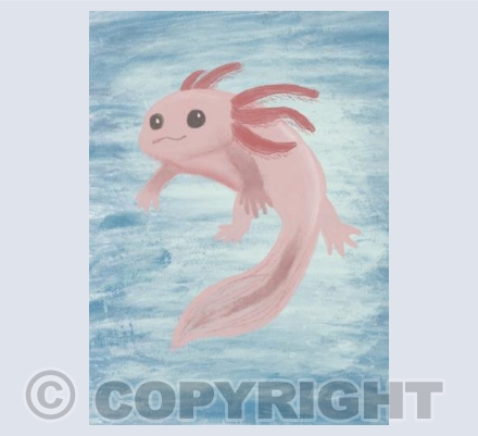 Axolotl 
