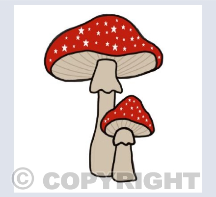 Toadstools with stars 