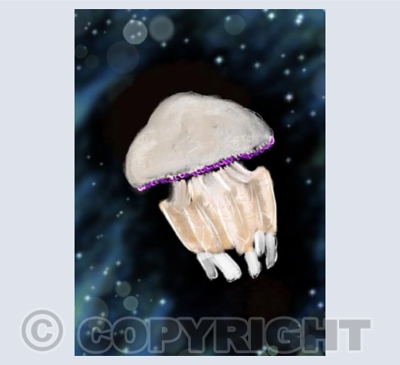 Barrel Jellyfish 