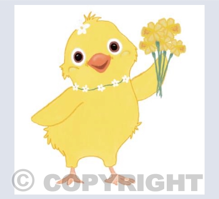 Daffodil Chick #2 
