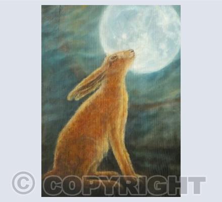 Moon gazing hare
