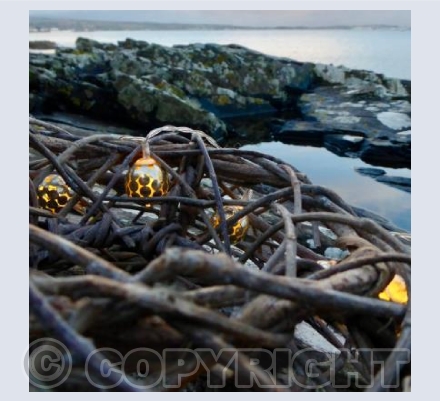 Christmas Card 2019 (Square)