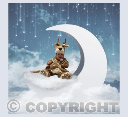 Christmas 2020 Roslyn