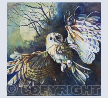 Night Owl