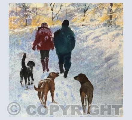 A Wentwood Walk