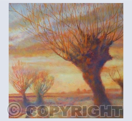 Redwick Dawn