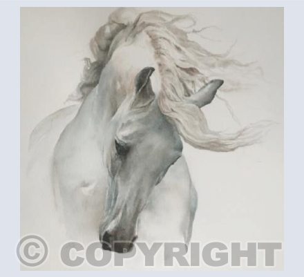 Silver Stallion