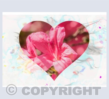 Heart Full Of Flowers