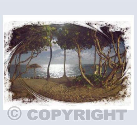 Antiguan Beach At Midnight