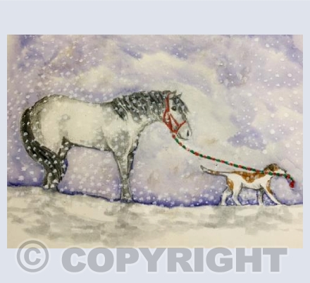 Pony and dog