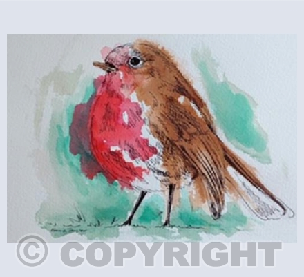 Robin Red Breast