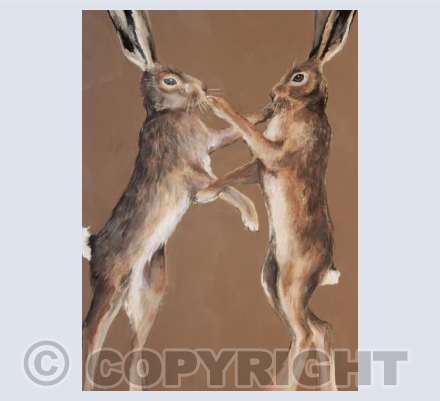 Brown boxing hares