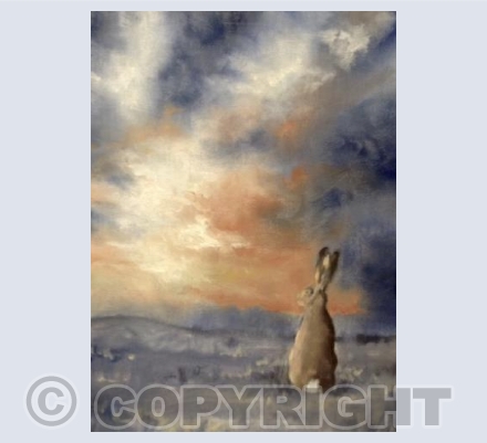 Sunset hare