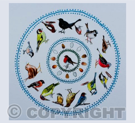 British garden birds