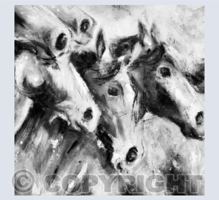 Rounding up New Forest Ponies