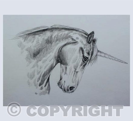 Unicorn