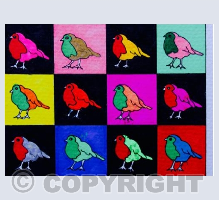 Robin 3
