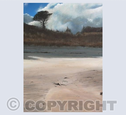 Windswept Sands, Rushy Bay